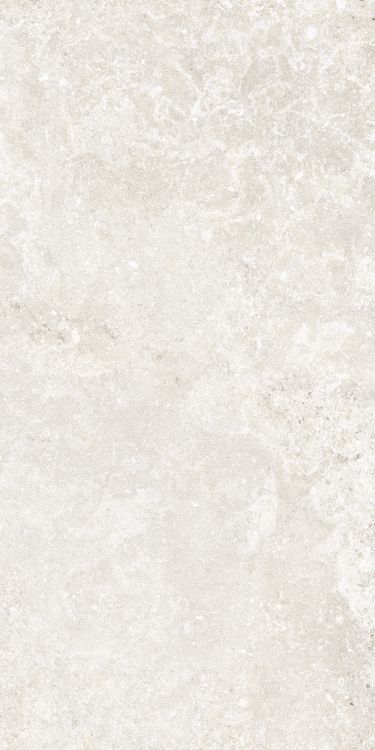 Untamed Wander White 12 x 24